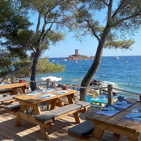 Agay, Cap Esterel, Magnifique Vue Panoramique Et Massif De L'esterel, Terrasse Sud, Acces 5 Piscines, Parking, Dernier Etage, Classe 3 Etoiles, Site Naturel De Reve 아파트 *